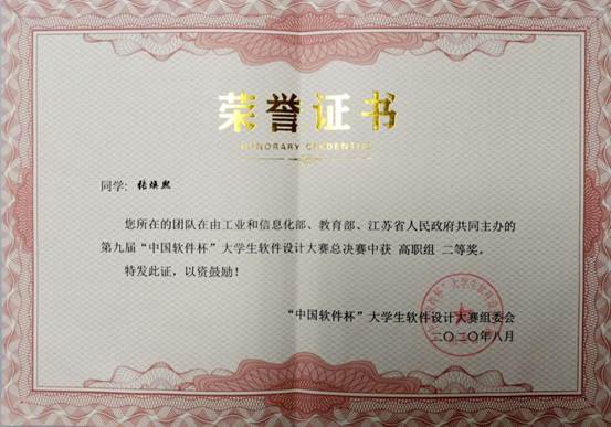 2020中国软件杯二等奖